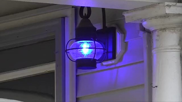 Albion lights up blue in support of colorectal cancer patients - Vimarsana News