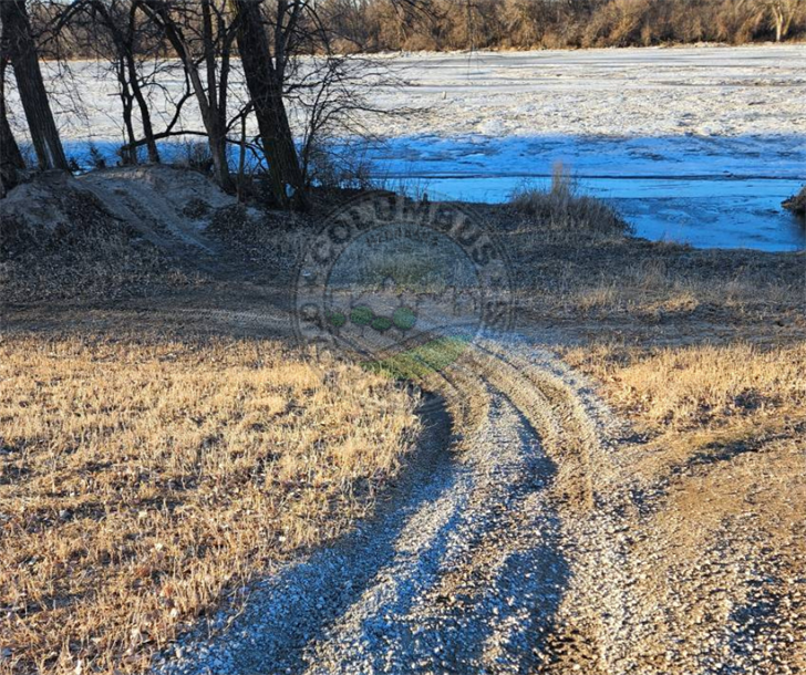 The Loup River Levee pictured on a recent day with damage from ATV use.