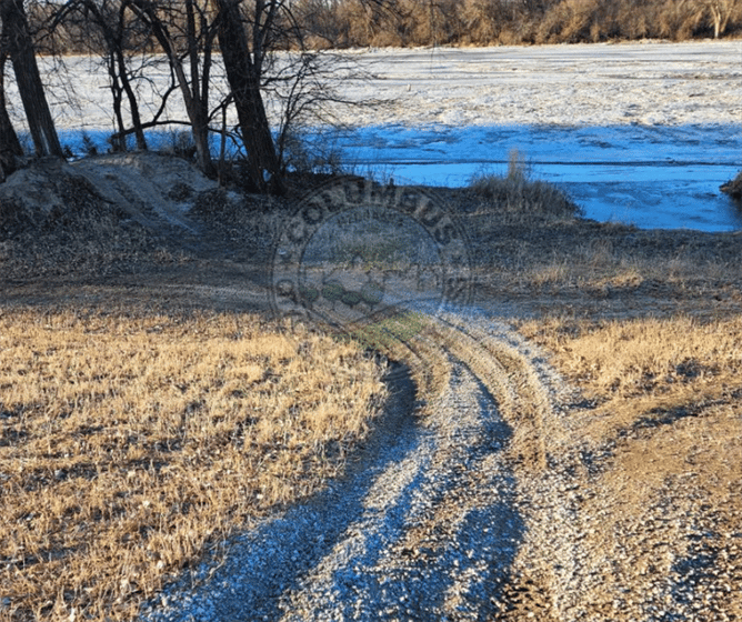 The Loup River Levee pictured on a recent day with damage from ATV use.