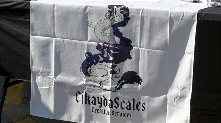 Teenager puts on arts fest, along with other achievements